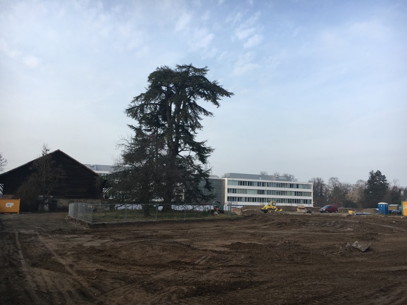 Fichier:Chemin du jonc 35-37b.jpg