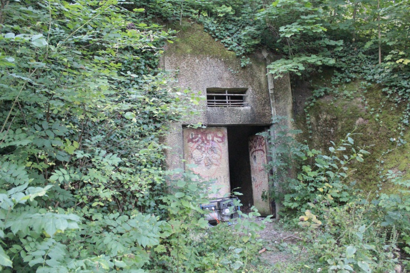 Fichier:2011-09-11 11-42-33.jpg