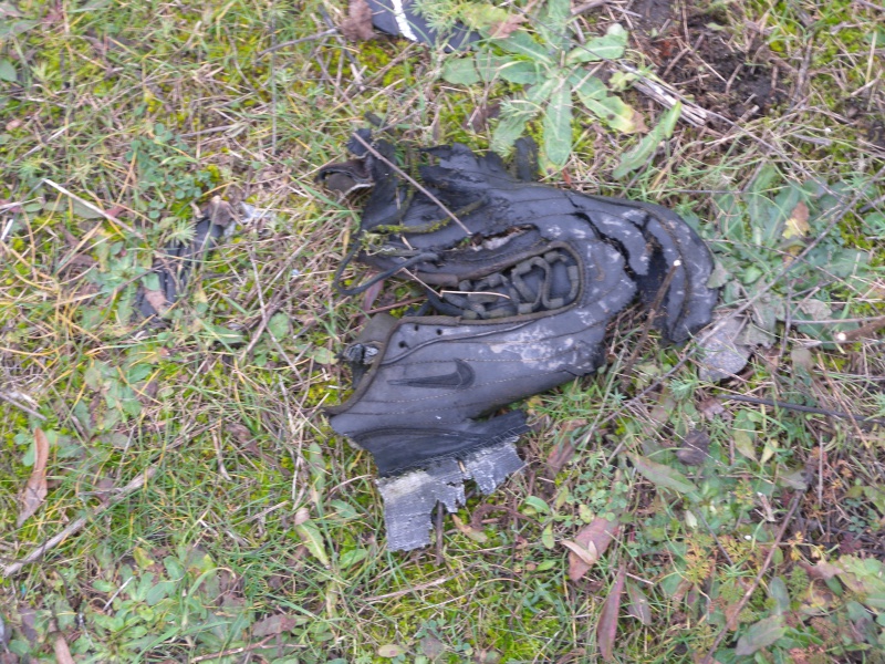 Fichier:2009-12-05 17-09-13.jpg